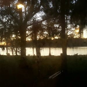 Meet your Posher, Patsy