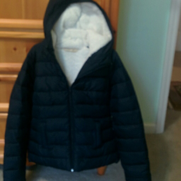 Hollister coat