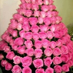 Meet your Posher, Caridad