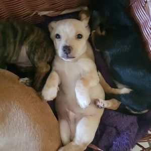 Meet your Posher, Christina