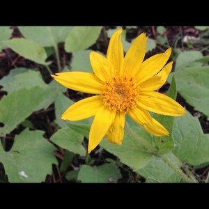 Meet your Posher, Kelli