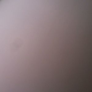 Meet your Posher, Frankie