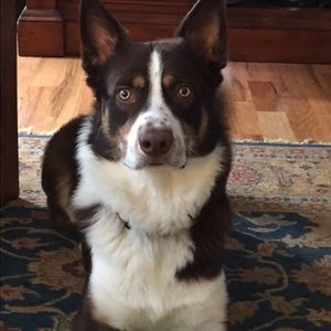 Meet your Posher, Brenda