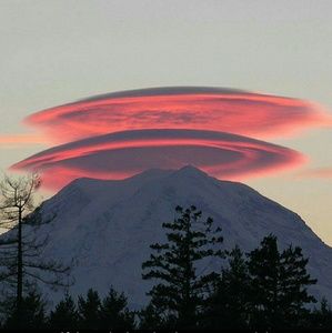 Meet your Posher, Cortney