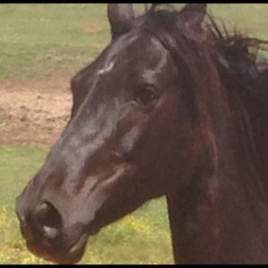 Meet your Posher, Annette