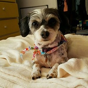 Meet your Posher, Donna