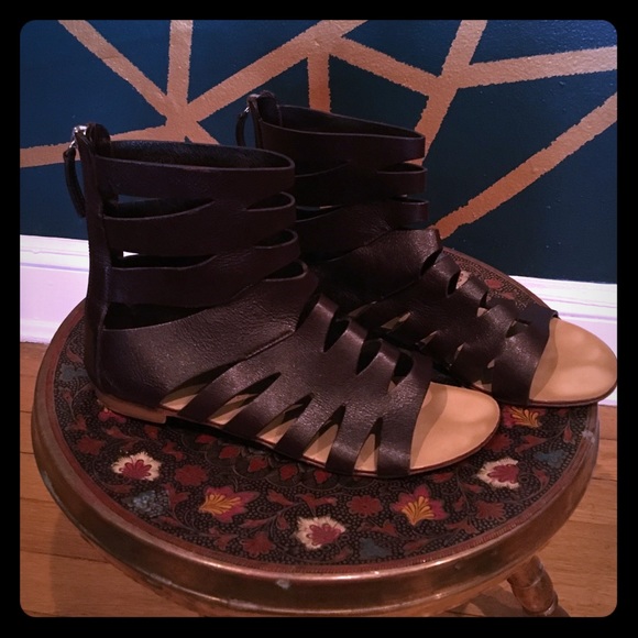 Brown Giuseppe Zanotti gladiators