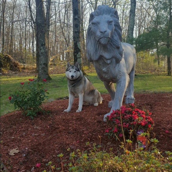 Meet your Posher, Angelina