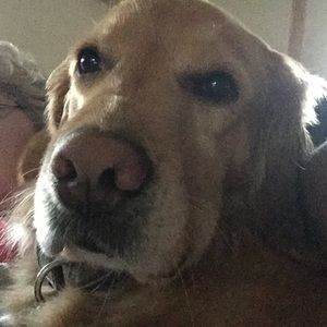 Meet your Posher, Shelly