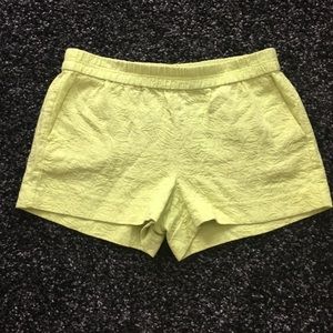 J Crew Shorts