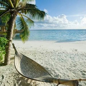 Meet your Posher, Martha