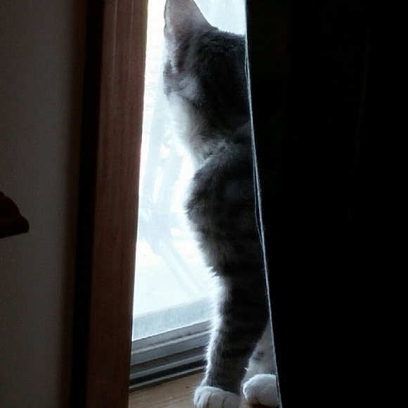 Meet your Posher, Gail - Picture 1 of 1