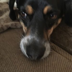 Meet your Posher, Gail