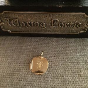 Initial charm small P