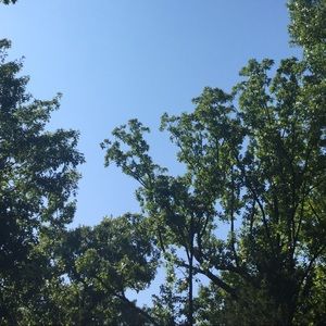 Meet your Posher, Norma