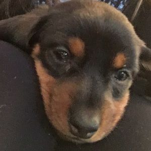 Meet your Posher, Becca