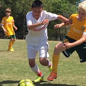 Meet your Posher, Miriam