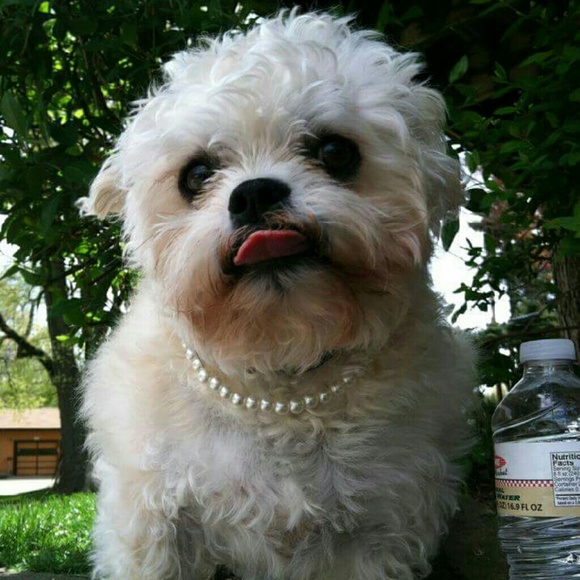 Meet your Posher, Jenna - Picture 1 of 1