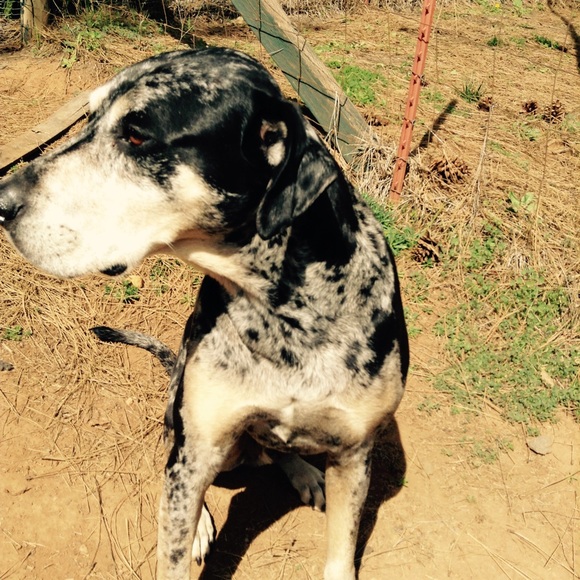 Meet your Posher, Grace - Picture 1 of 1