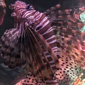 Meet your Posher, Barbara