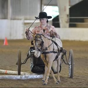 Meet your Posher, Katelyn