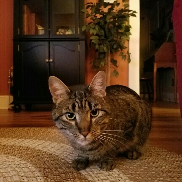 Meet your Posher, Stacy