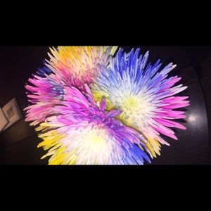 Meet your Posher, Hailey