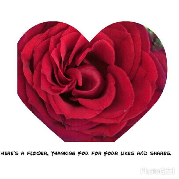 Here's a flower, thanking you for your shares.