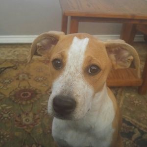 Meet your Posher, Garrett