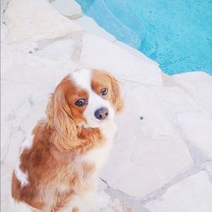 Meet your Posher, Caroline