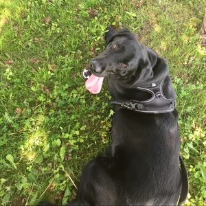 Meet your Posher, Terry