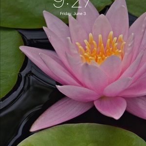 Meet your Posher, Sonja