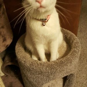 Meet your Posher, Gloria m.