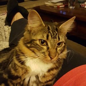 Meet your Posher, Suzette