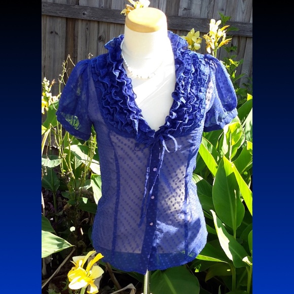 Blue Sheer Polka Dot Ruffle Blouse