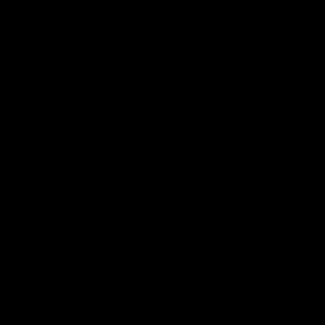 Meet your Posher, Dionne