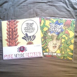 The Story So Far Vinyl