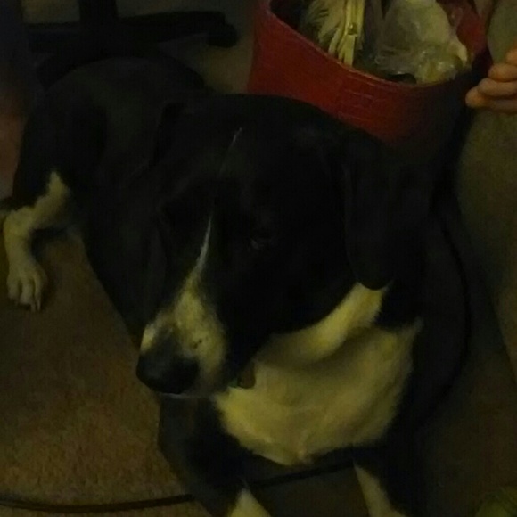 Meet your Posher, Andella - Picture 1 of 1