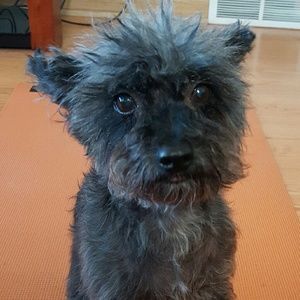 Meet your Posher, Elizabeth