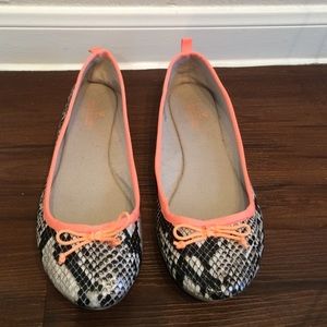 American Eagle Flats