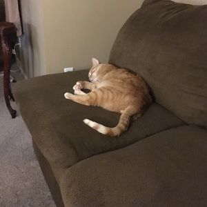 Meet your Posher, Sue