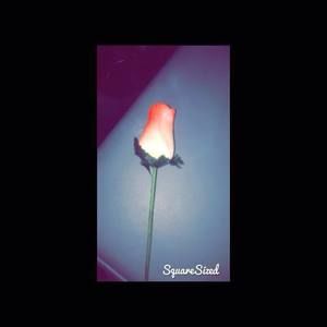 Meet your Posher, Ashlyn