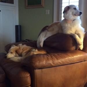 Meet your Posher, Jackie