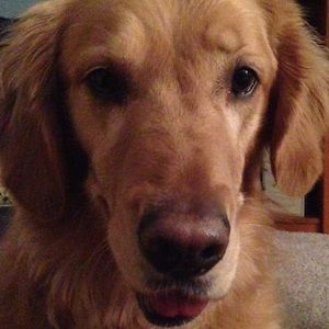 Meet your Posher, Heidi