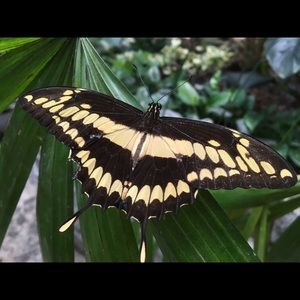 Meet your Posher, Jamie