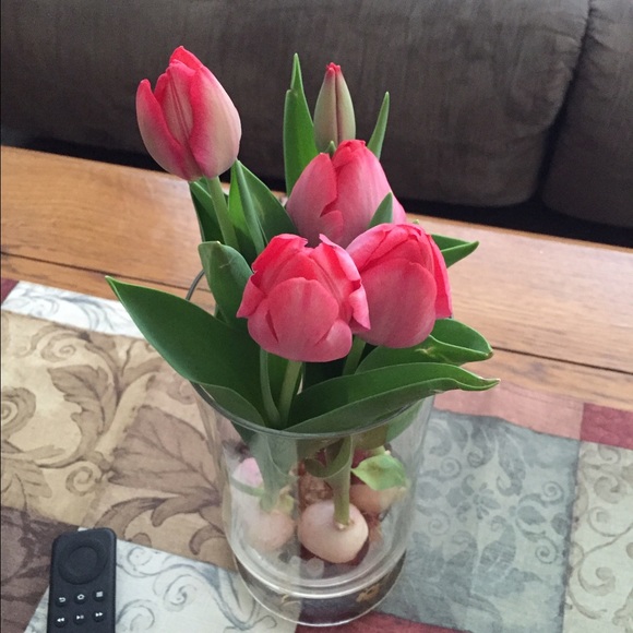 Meet your Posher, Elle