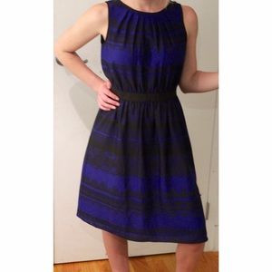 Ann Taylor Loft dress
