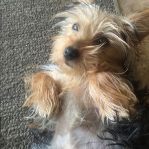 Meet your Posher, Erin