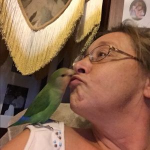 Meet your Posher, Karen