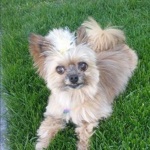 Meet your Posher, Angela